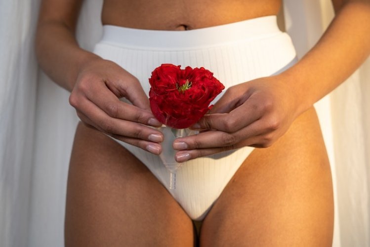 Cuidados com a vulva: sabonete íntimo é item obrigatório para higiene da  região genital?, Saúde